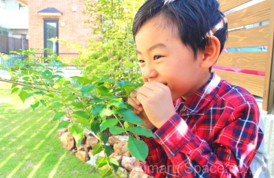 キマルスペースの施工実績